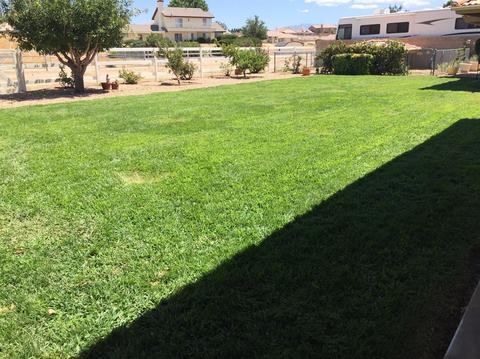 12755 Bay Ln, Apple Valley, CA 92308 photo 48