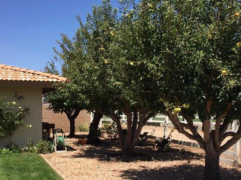 12755 Bay Ln, Apple Valley, CA 92308 photo 45
