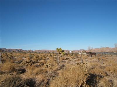 28522 Sutter Rd, Lucerne Valley, CA 92356 photo 4