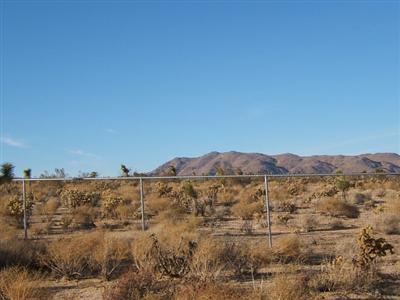 28522 Sutter Rd, Lucerne Valley, CA 92356 photo 3