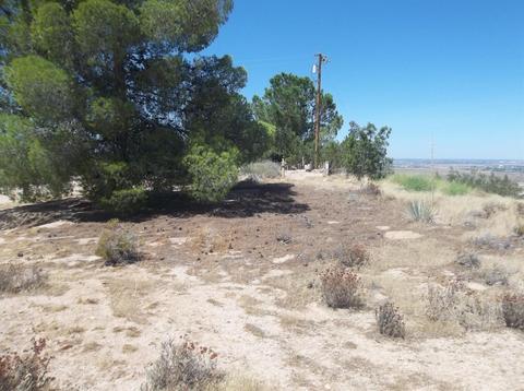 9877 Flora Vista Rd, Apple Valley, CA 92308 photo 8