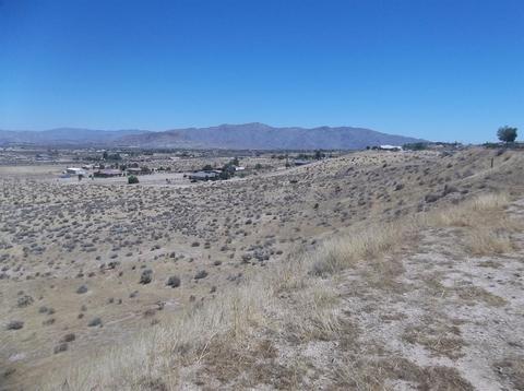 9877 Flora Vista Rd, Apple Valley, CA 92308 photo 11