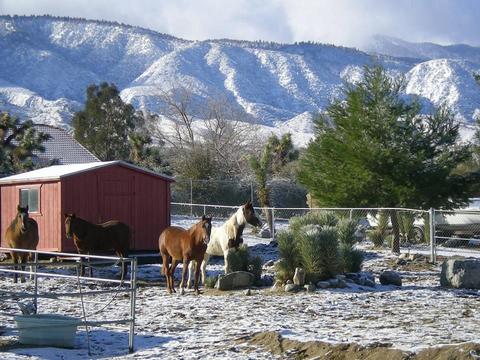 772 Calaveras Rd, Pinon Hills, CA 92372 photo 63