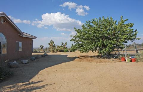 772 Calaveras Rd, Pinon Hills, CA 92372 photo 51
