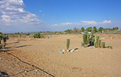 772 Calaveras Rd, Pinon Hills, CA 92372 photo 67