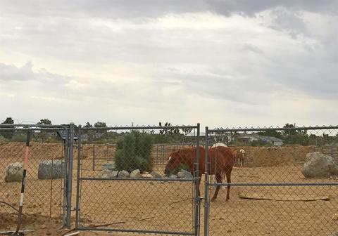 772 Calaveras Rd, Pinon Hills, CA 92372 photo 61
