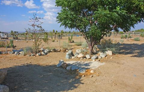 772 Calaveras Rd, Pinon Hills, CA 92372 photo 68