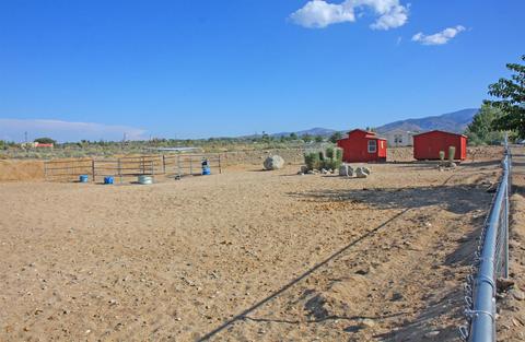772 Calaveras Rd, Pinon Hills, CA 92372 photo 59
