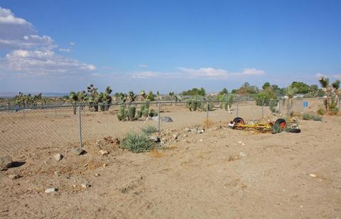 772 Calaveras Rd, Pinon Hills, CA 92372 photo 65