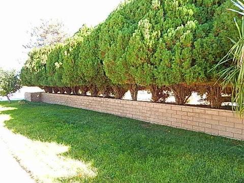 18268 Verano St, Hesperia, CA 92345 photo 36