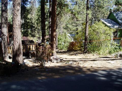 1406 Oriole Rd, Wrightwood, CA 92397 photo 6