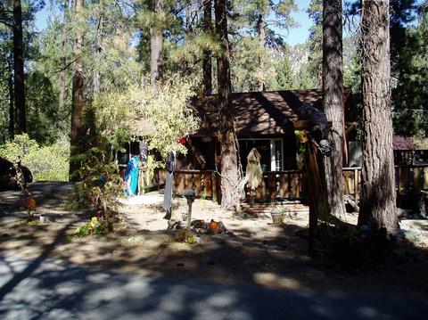 1406 Oriole Rd, Wrightwood, CA 92397 photo 3