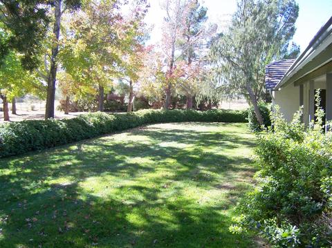 15365 Fir St, Hesperia, CA 92345 photo 27