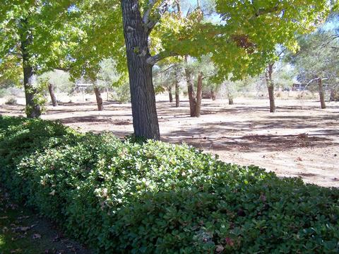15365 Fir St, Hesperia, CA 92345 photo 26