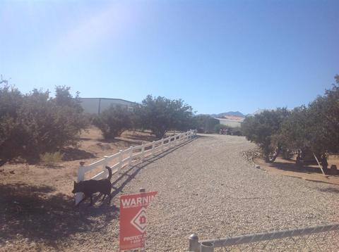 9215 Elm St, Phelan, CA 92371 photo 3