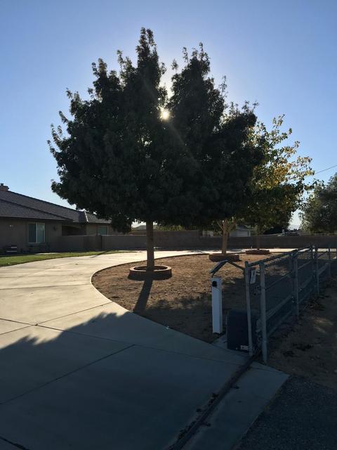 17845 Eucalyptus St, Hesperia, CA 92345 photo 5