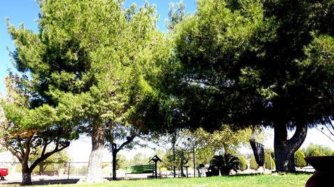 Undisclosed, Hesperia, CA 92345 photo 59