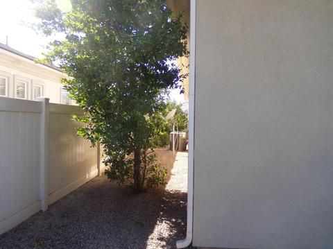 10955 Rockaway Glen Rd, Apple Valley, CA 92308 photo 40