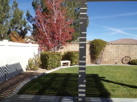 10955 Rockaway Glen Rd, Apple Valley, CA 92308 photo 33