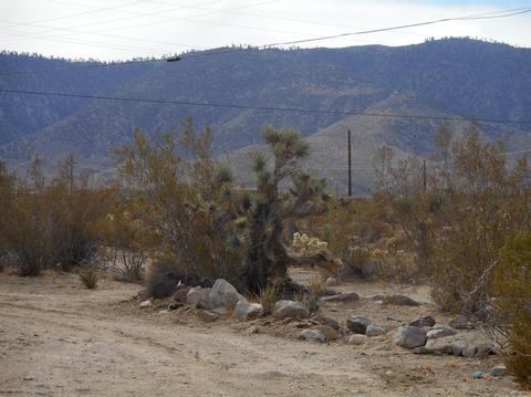 32673 Randall St, Lucerne Valley, CA 92356 photo 14