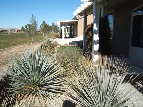 10330 Wilmington Ln, Apple Valley, CA 92308 photo 5