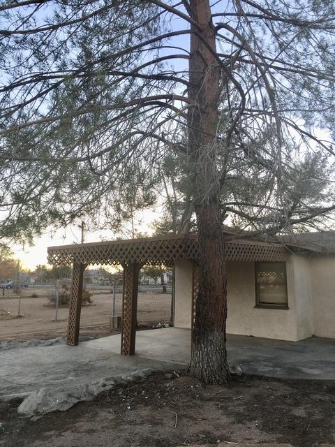 10011 Locust Ave, Hesperia, CA 92345 photo 11