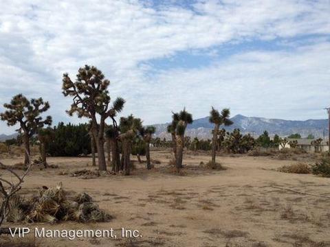 6376 Coyote Rd, Phelan, CA 92371 photo 24