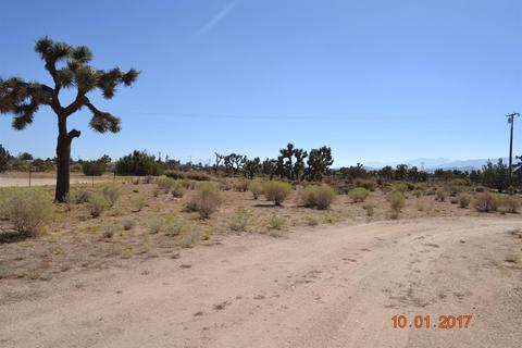 6376 Coyote Rd, Phelan, CA 92371 photo 21