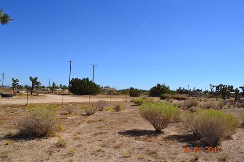 6376 Coyote Rd, Phelan, CA 92371 photo 22