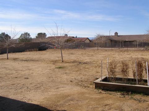 13576 Cuyamaca Rd, Apple Valley, CA 92308 photo 16