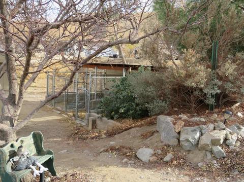 22321 Rush Rd, Apple Valley, CA 92308 photo 18
