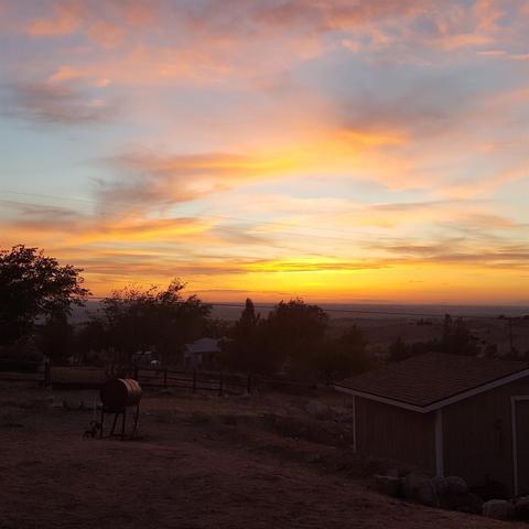 22321 Rush Rd, Apple Valley, CA 92308 photo 29