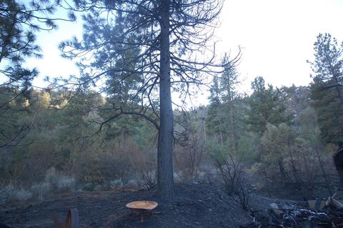 1752 Ash Rd, Wrightwood, CA 92397 photo 4