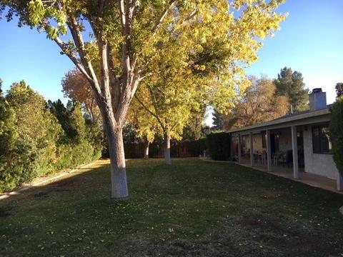 14917 Riverside Dr, Apple Valley, CA 92307 photo 10