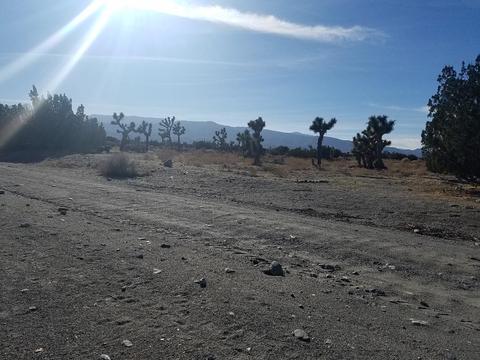 11026 Yuba Rd, Phelan, CA 92371 photo 5