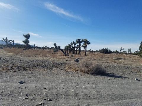 11026 Yuba Rd, Phelan, CA 92371 photo 3