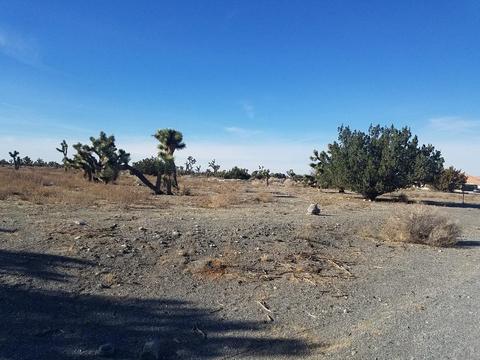 11026 Yuba Rd, Phelan, CA 92371 photo 2