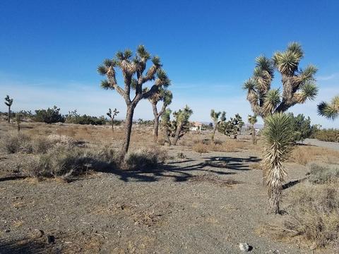 11026 Yuba Rd, Phelan, CA 92371 photo 8