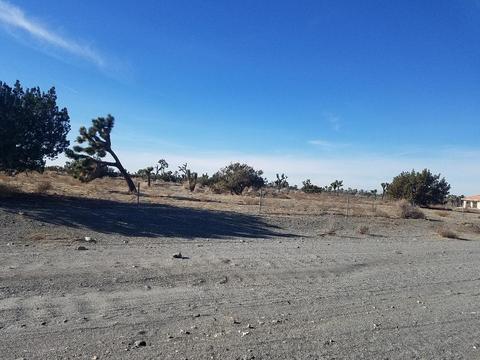 11026 Yuba Rd, Phelan, CA 92371 photo 4