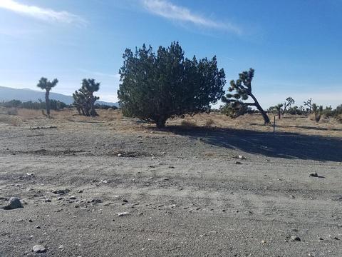 11026 Yuba Rd, Phelan, CA 92371 photo 6