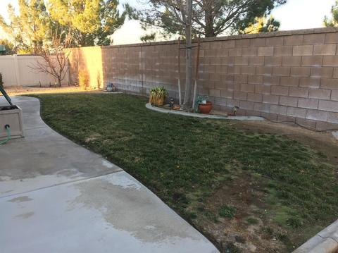 10963 Rockaway Glen Rd, Apple Valley, CA 92308 photo 31