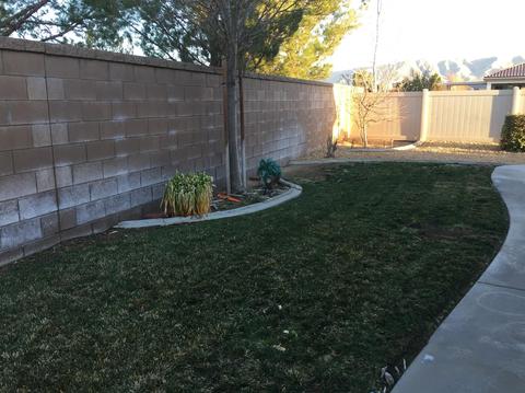 10963 Rockaway Glen Rd, Apple Valley, CA 92308 photo 29