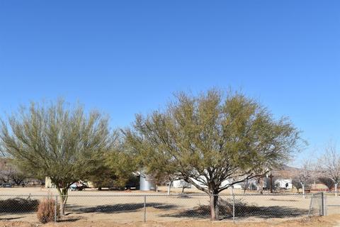 32080 Jiggs Rd, Barstow, CA 92311 photo 22
