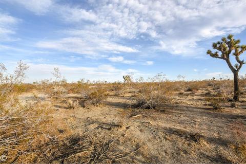 12430 Beekley Rd, Phelan, CA 92371 photo 56