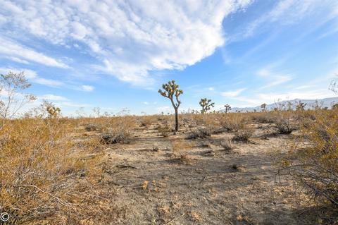 12430 Beekley Rd, Phelan, CA 92371 photo 54