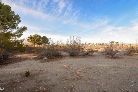 12430 Beekley Rd, Phelan, CA 92371 photo 41