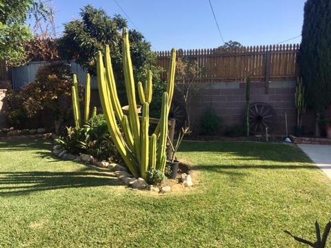 732 Caswell Ave S, Compton, CA 90220 photo 14