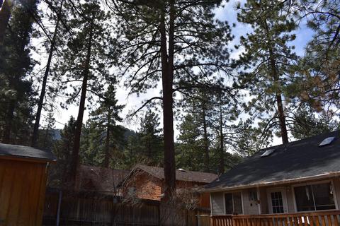 5603 Dogwood Rd, Wrightwood, CA 92397 photo 20