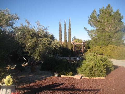 20165 Eyota Rd, Apple Valley, CA 92308 photo 5