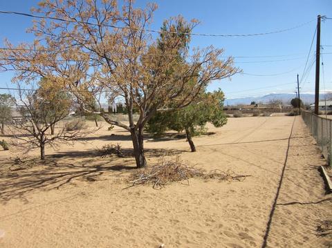 13969 Iroquois Rd, Apple Valley, CA 92307 photo 4